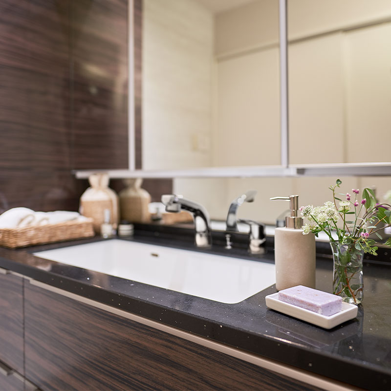 タカラスタンダードウィット