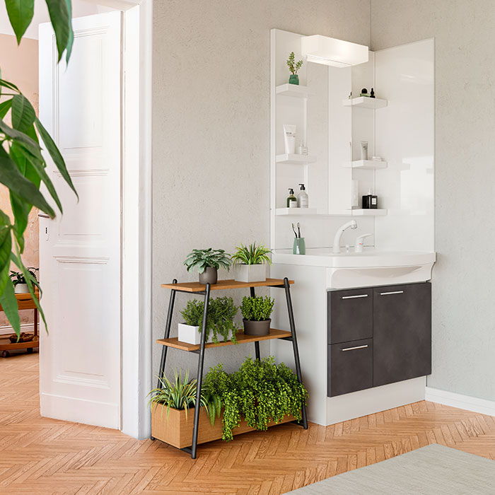 タカラスタンダードウィット